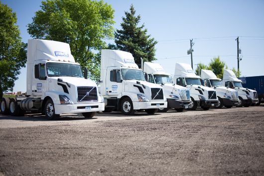 A row of white trucks